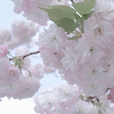 Furry绘画质感提升福瑞交流群